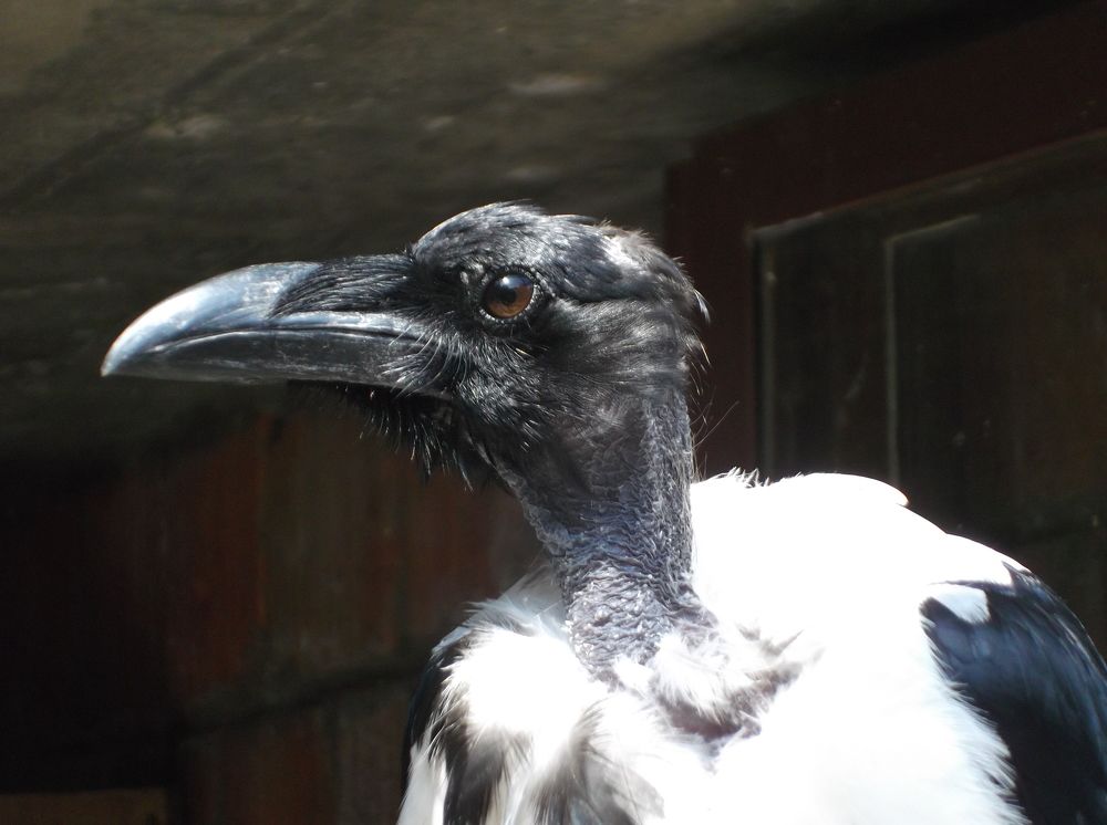 Photograph by Milena Cvele Cvetkovic