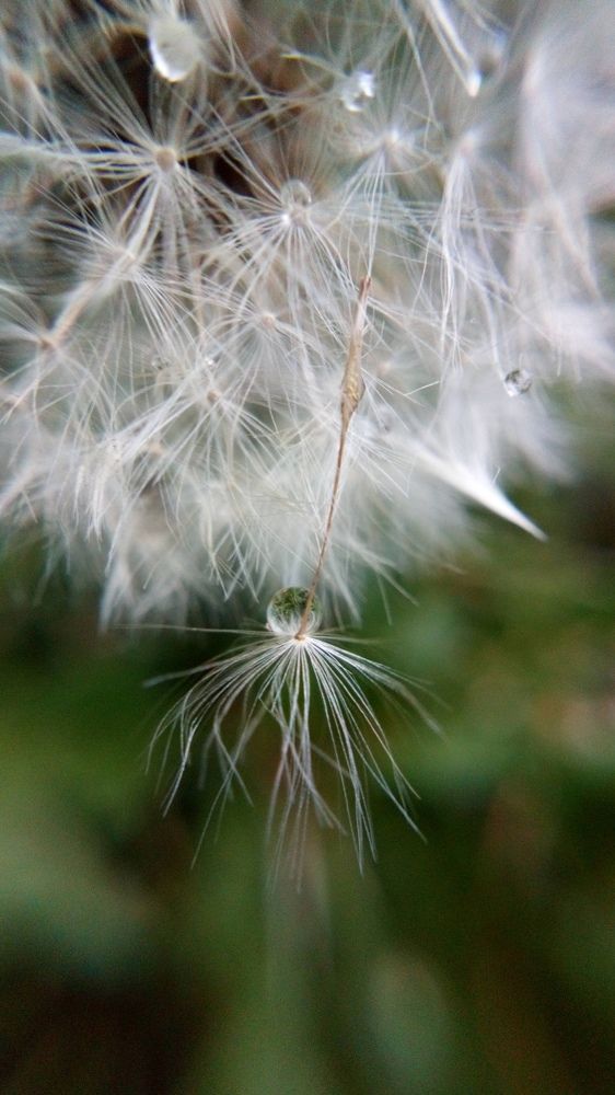 После дождя