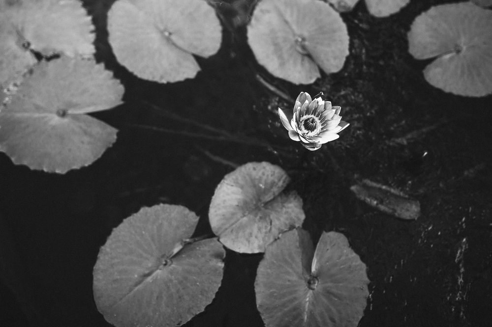 Photograph by Chaim Aminov