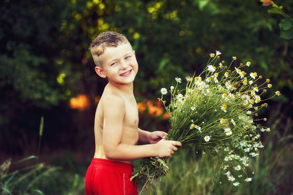 Портрет мальчика с полевыми цветами