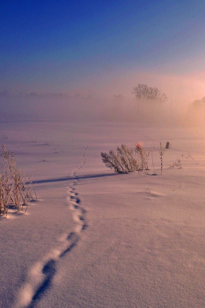 зимним ярким утром
