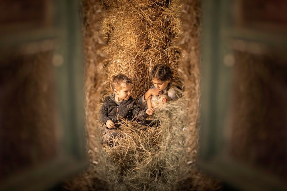 to visit in the chicken coop