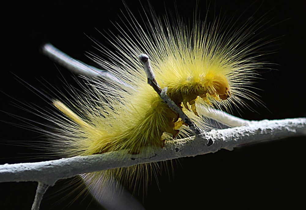 Sự sống quanh ta