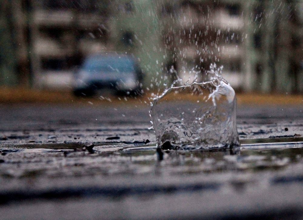 Весенние брызги