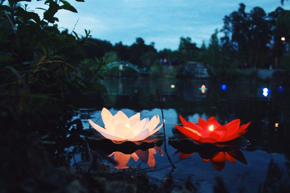 Photograph by Влад Богаткин