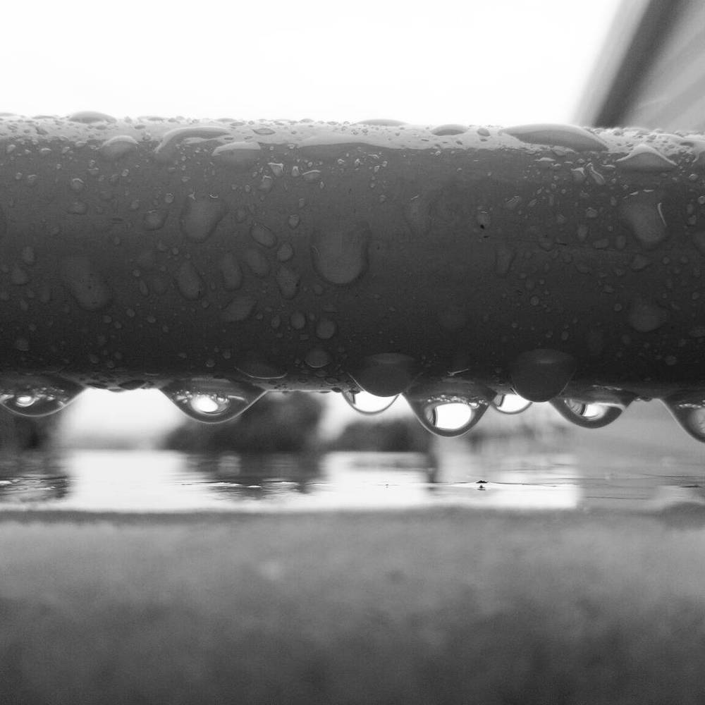 rain drops