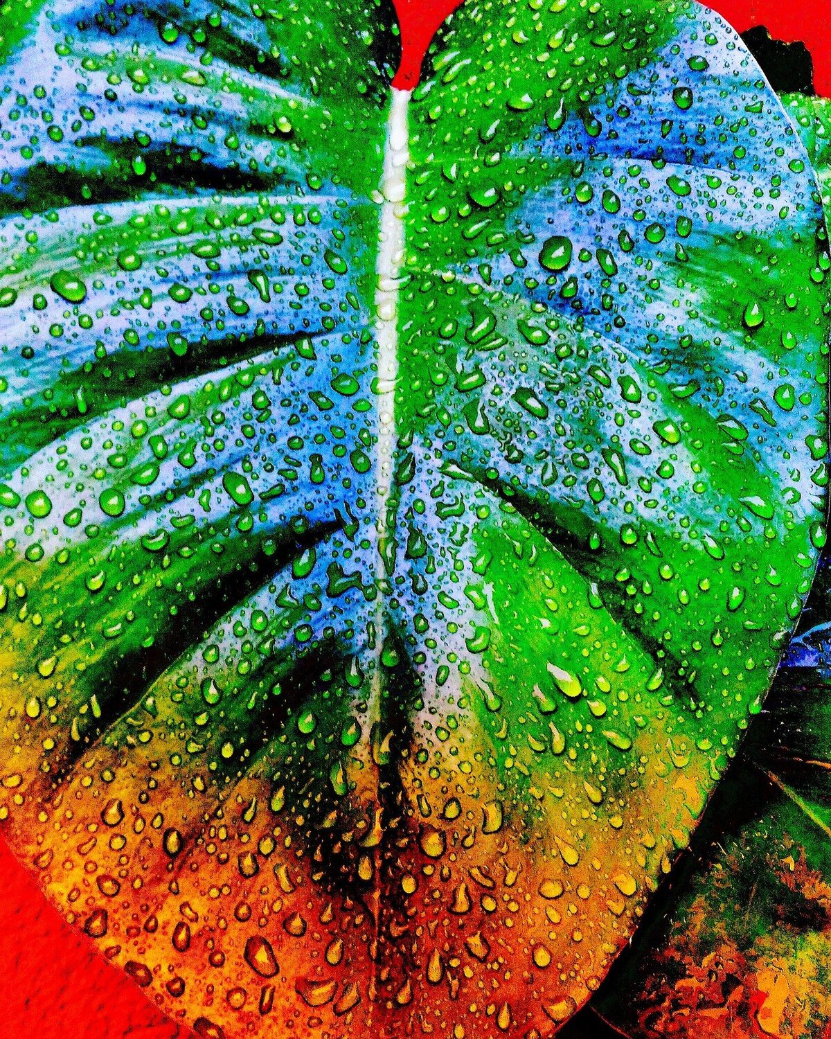 Different colors.