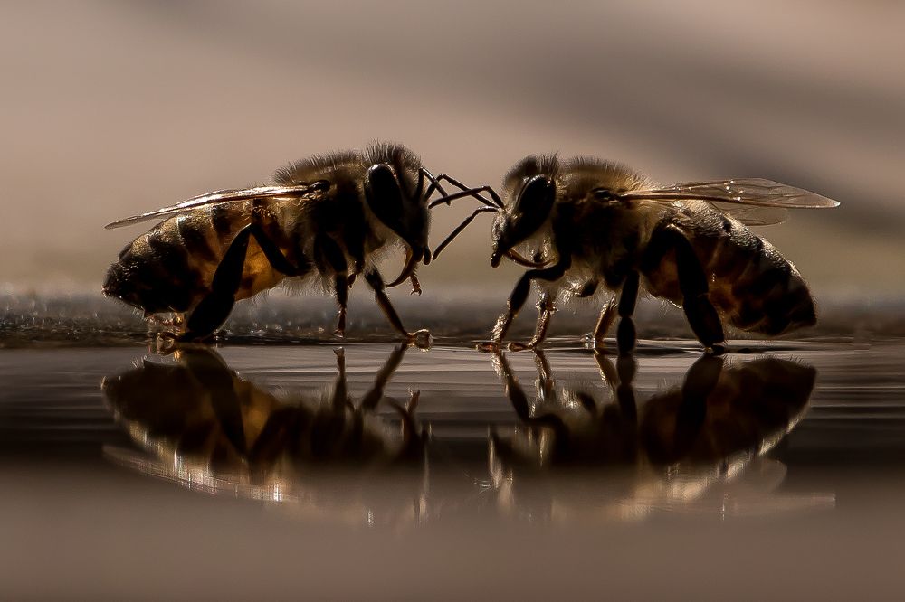 Разговор по душам...