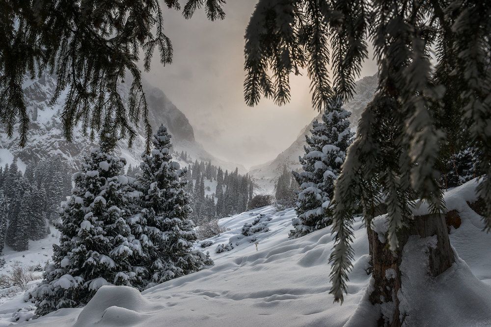 Заилийский Алатау. Малоалматинское Ущелье.