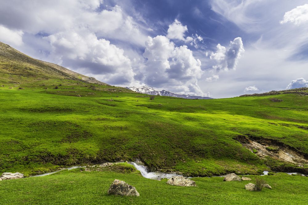 Fresh Like the First World's Water