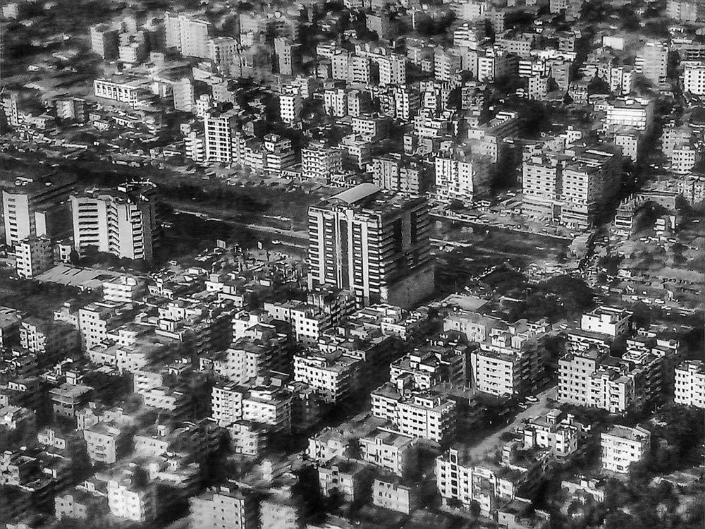 Bird's eye