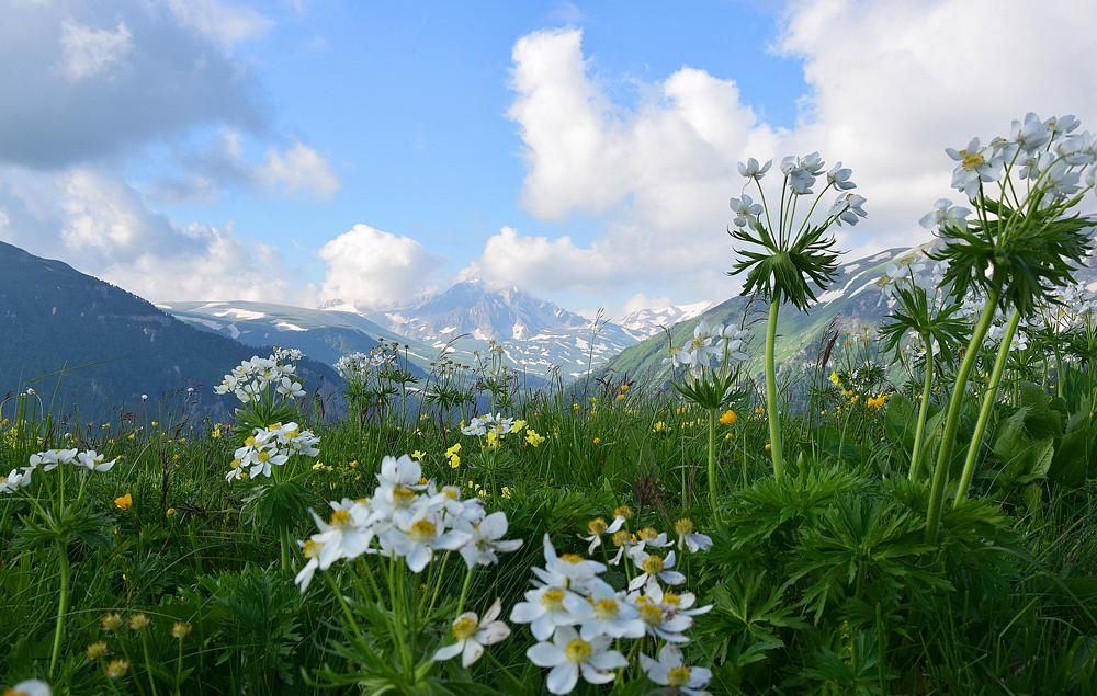 Горное лето