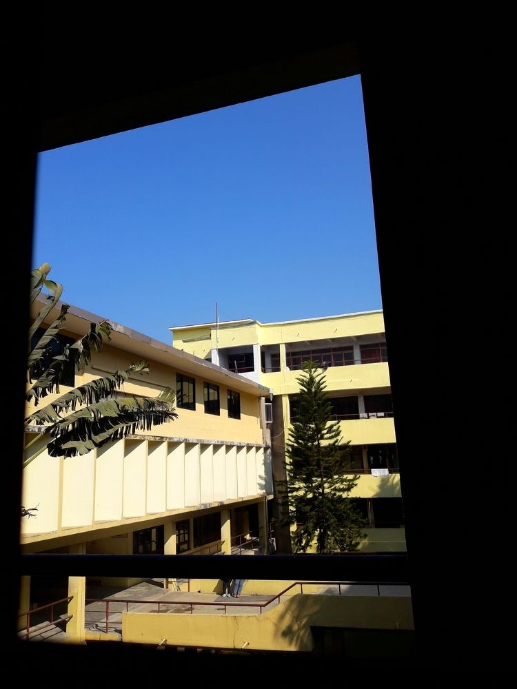 Through the window