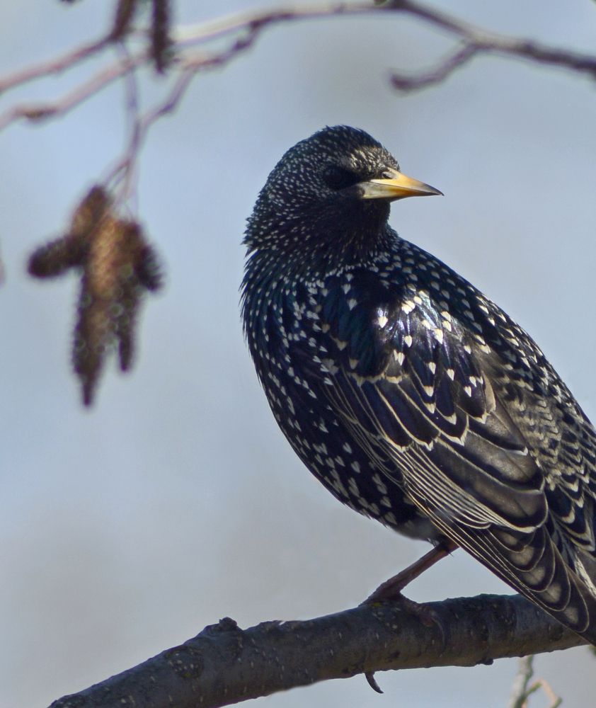 Photograph by Денис Воронин