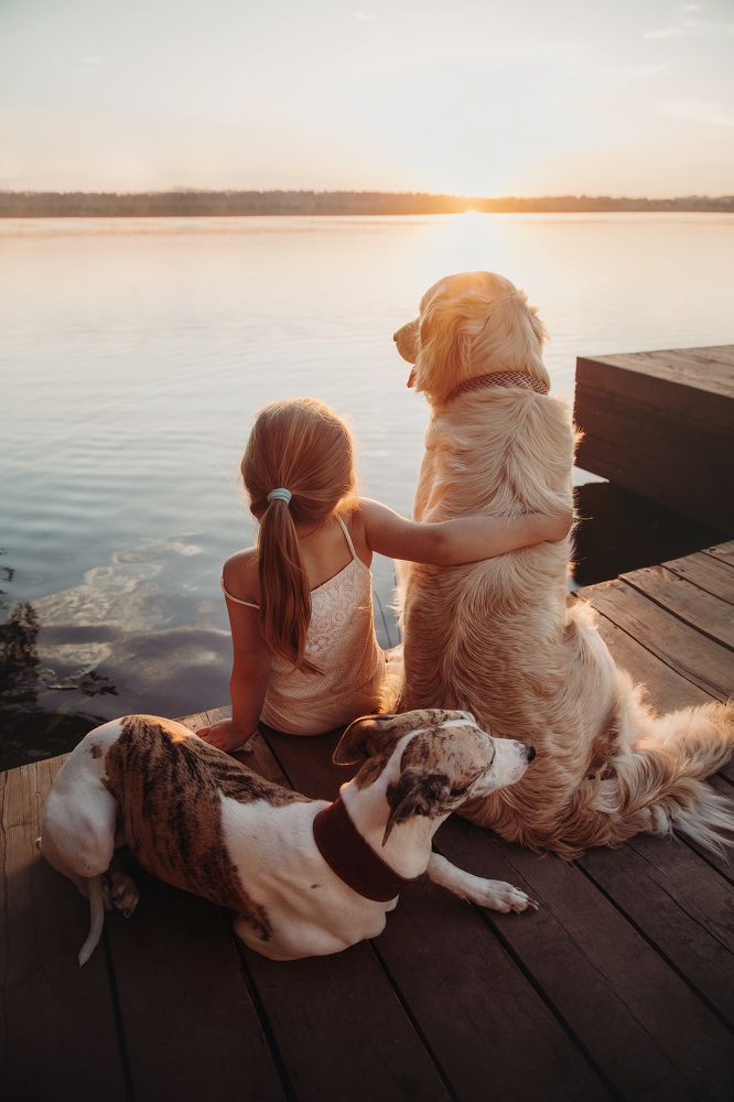 Вечер в кругу друзей