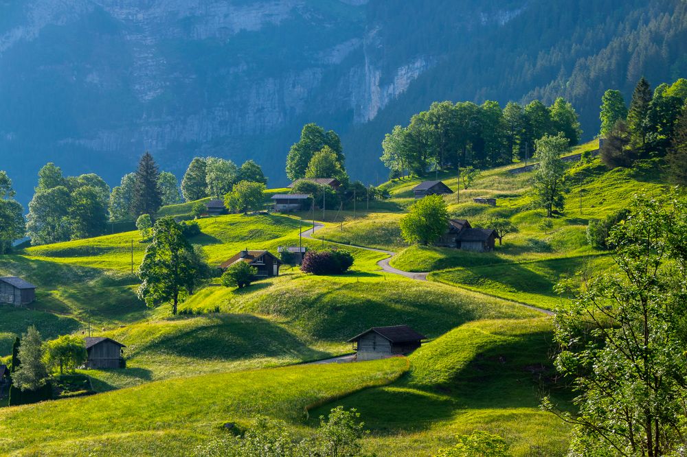 Фотография автора Андрей Симонов