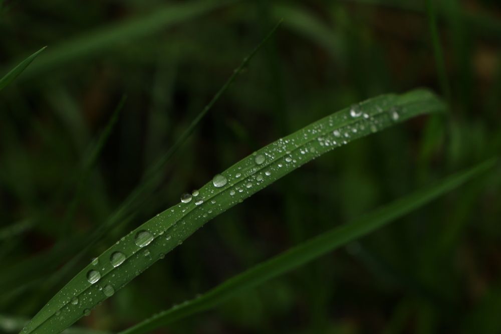 Photograph by Никита Грабкин