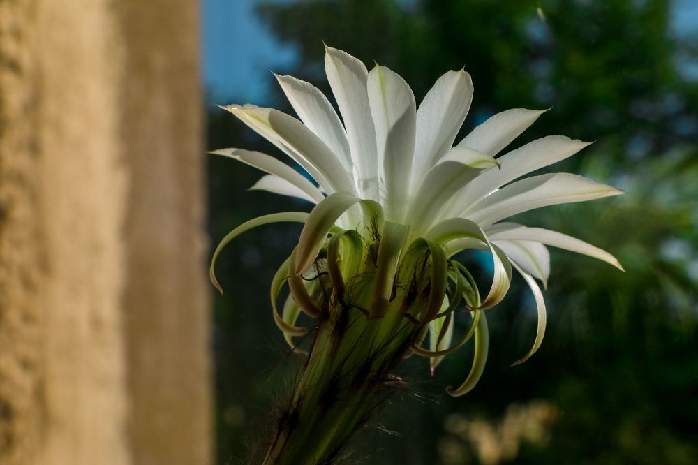 Photograph by Никита Грабкин