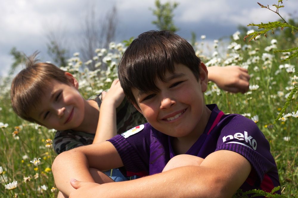 счастливое ромашковое детство