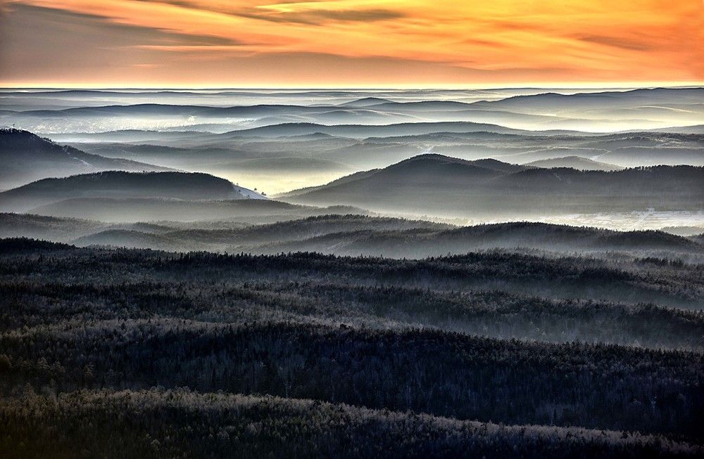 Лесной океан