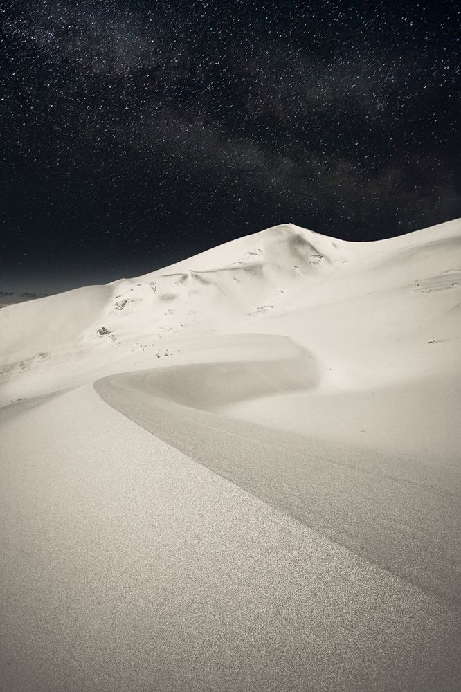 Стражи Монголии