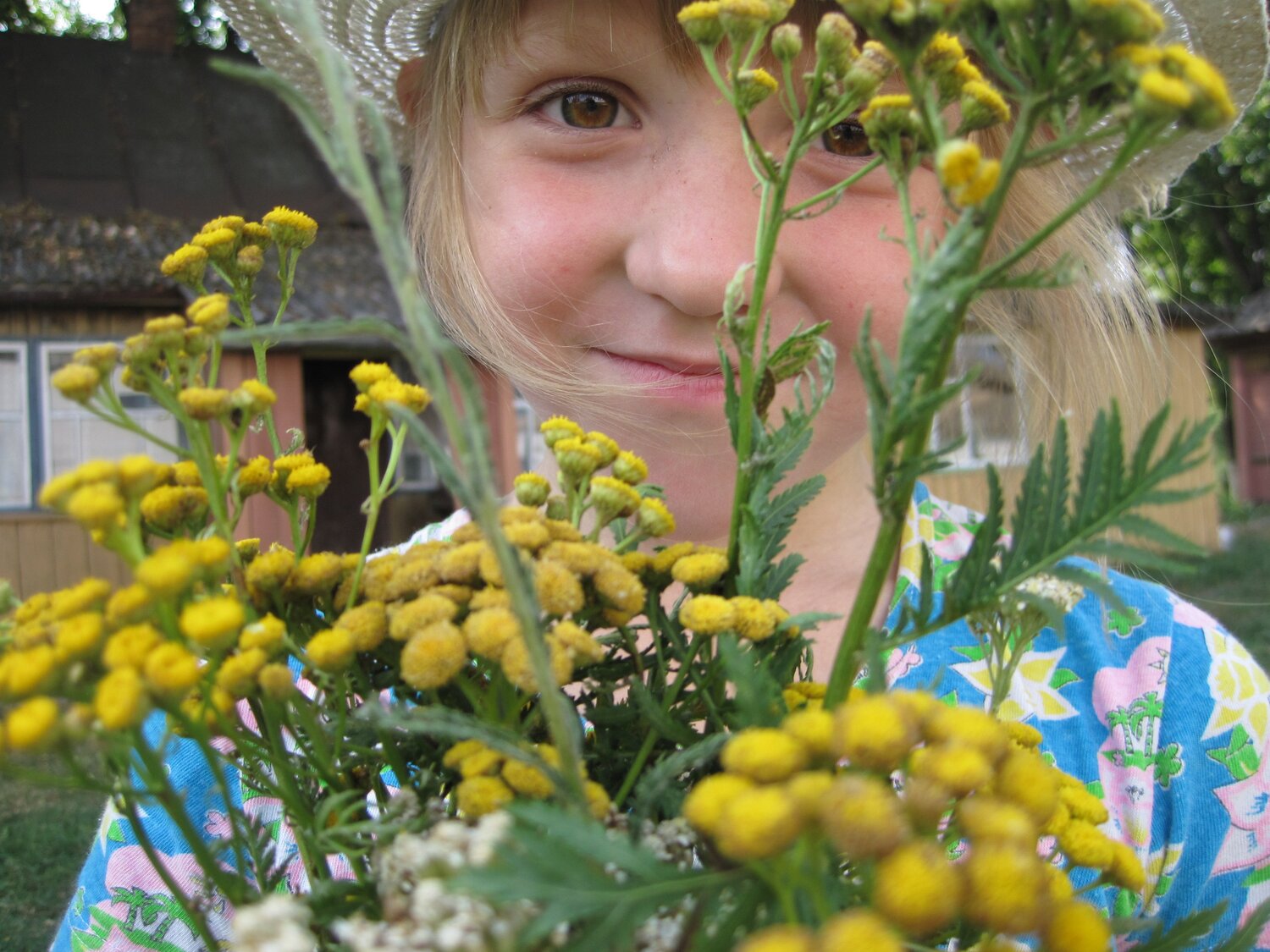 Photo #2387051