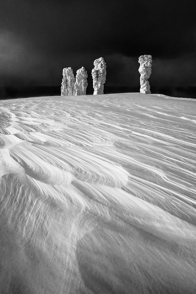 Стражи Сибири