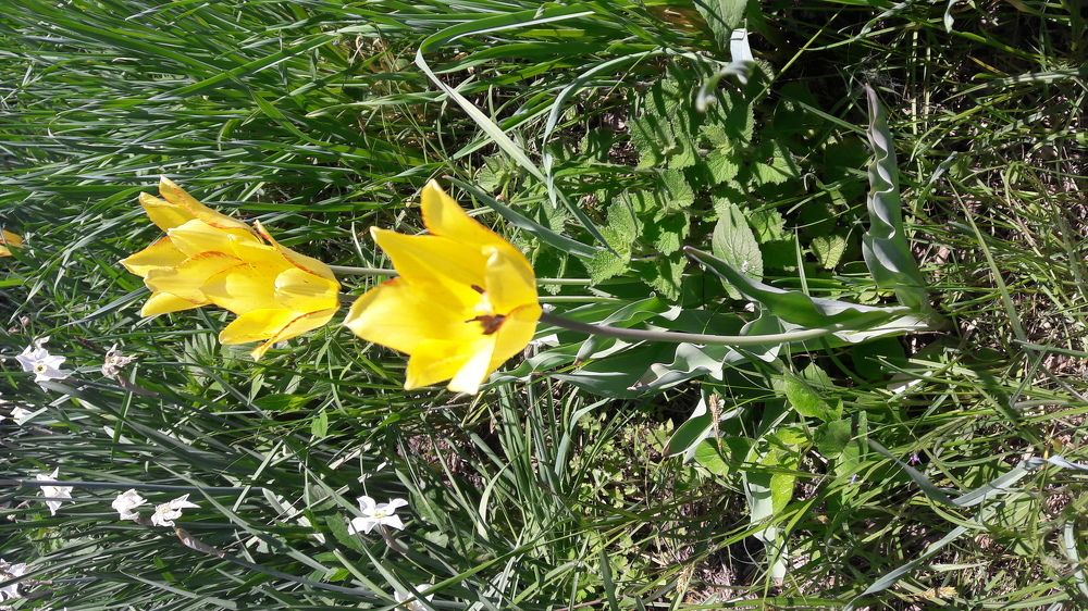 Photograph by Марина Шульга