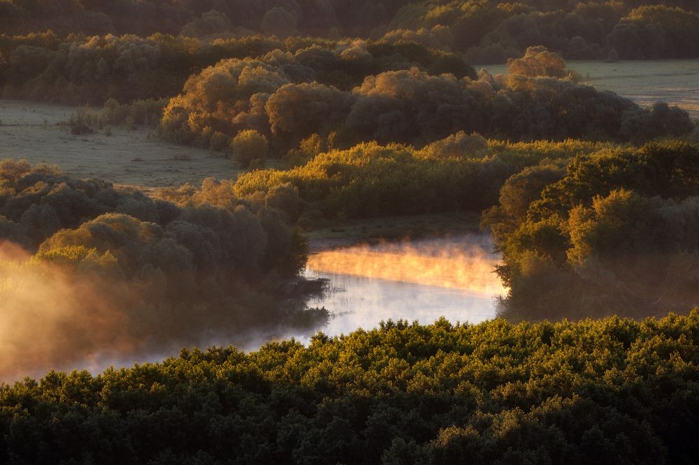 Луч солнца золотого