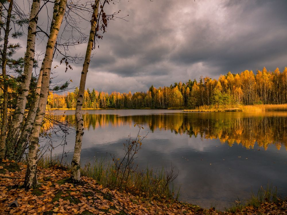 Осеннее настроение