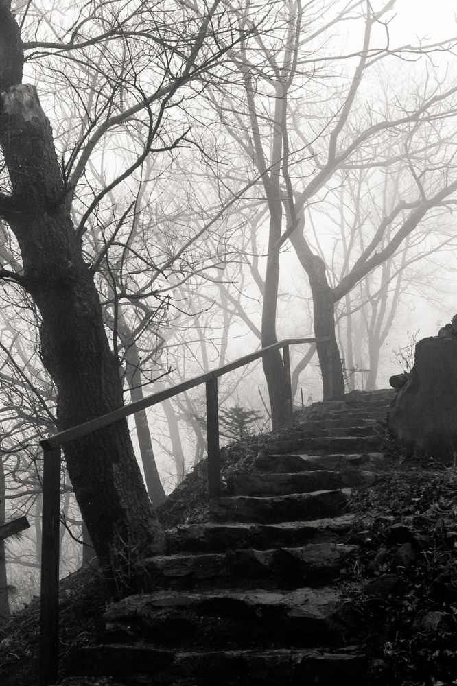 Каменная лестница