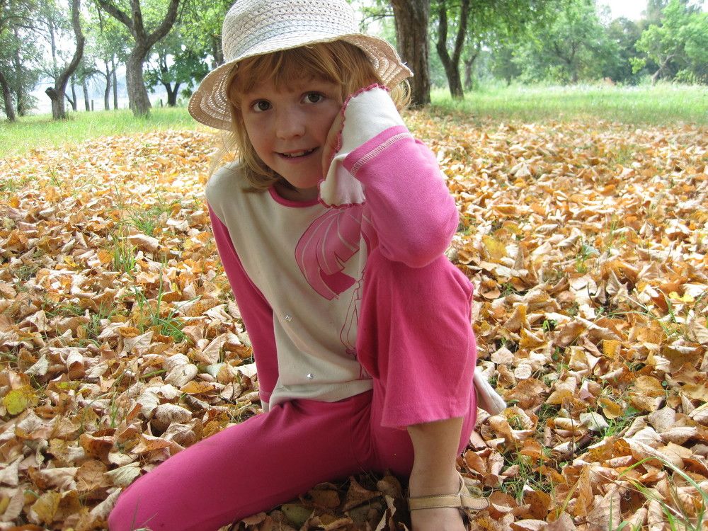 Photo #2387830