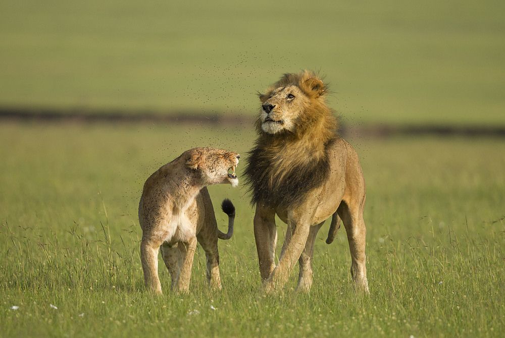 As usual just ignoring what woman said