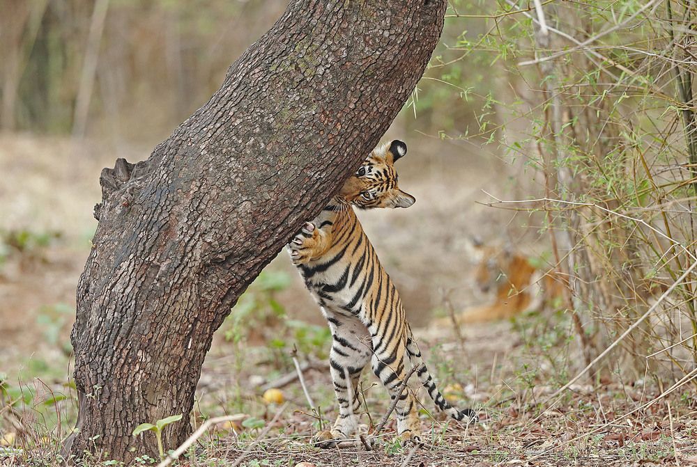 Mom you relax, i would mark it for you