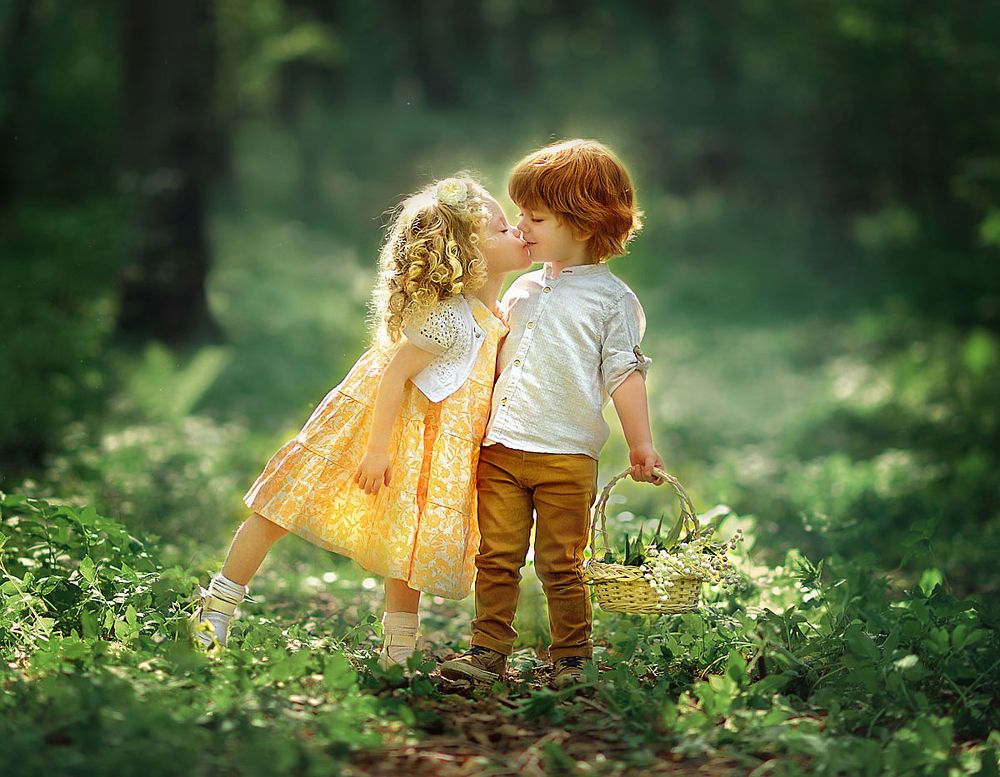 Лесная сказка