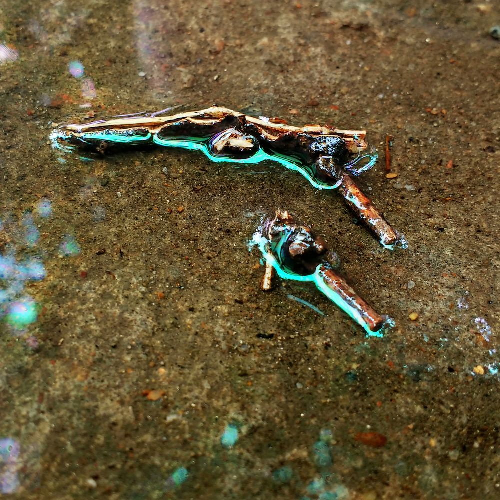 fallen wood piece on water oil