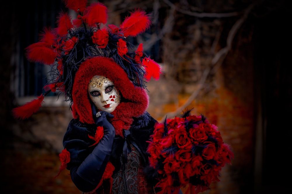 The Venetian Red Rose