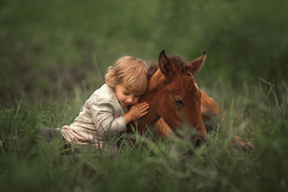 Я люблю свою лошадку