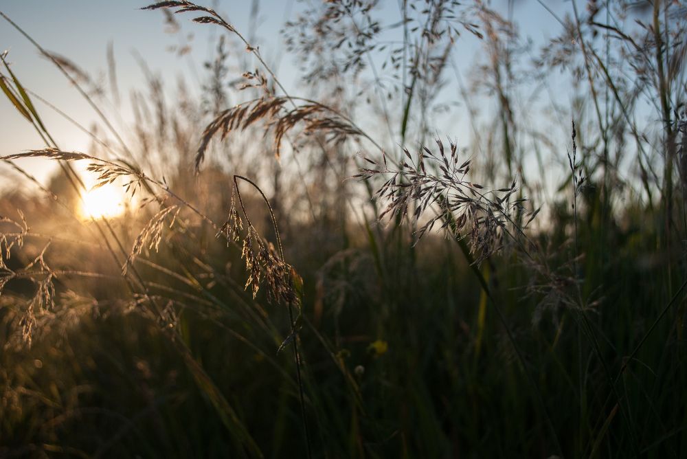 Photograph by Николай Николаев