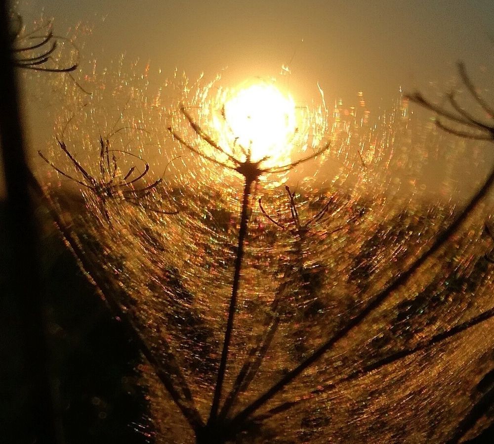 Запуталось Желтое...