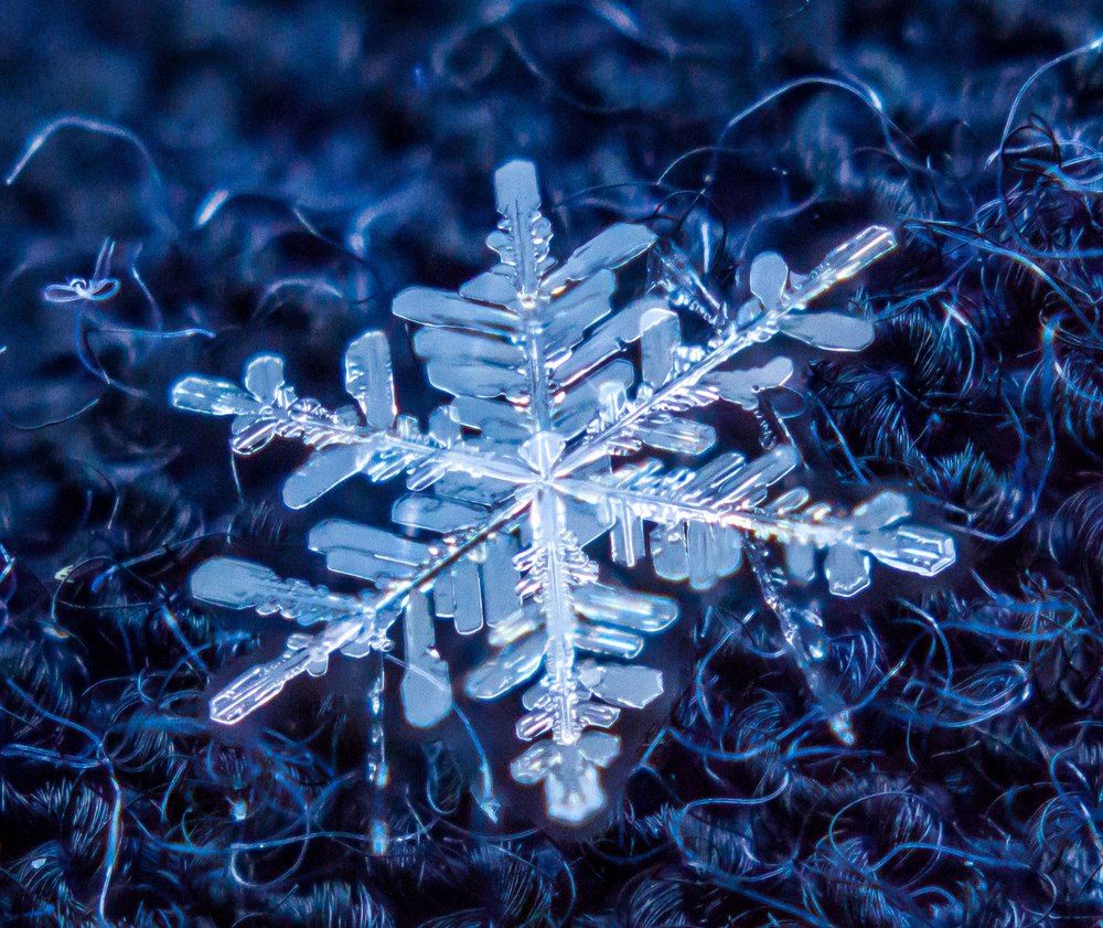 Photograph by Степанюк Данил