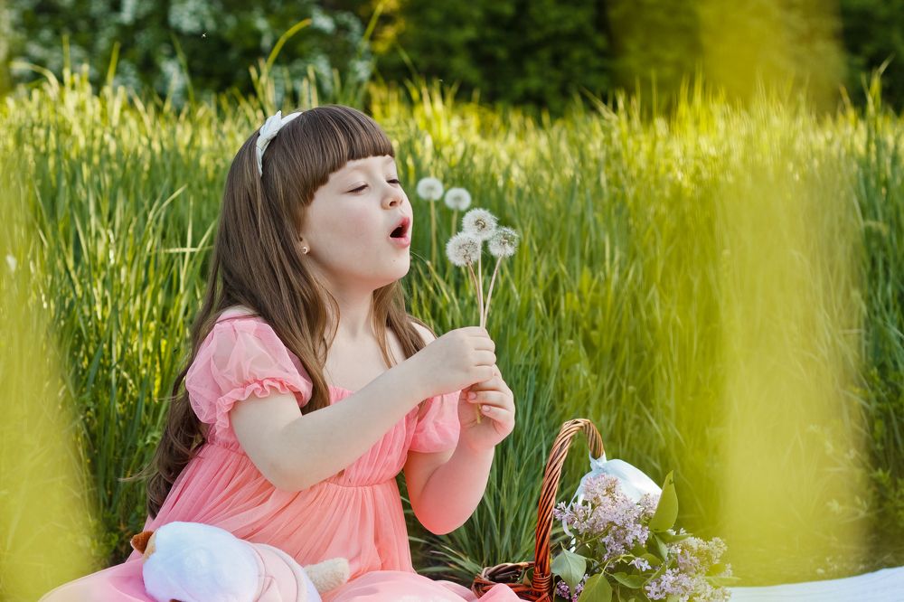 Одуванчики