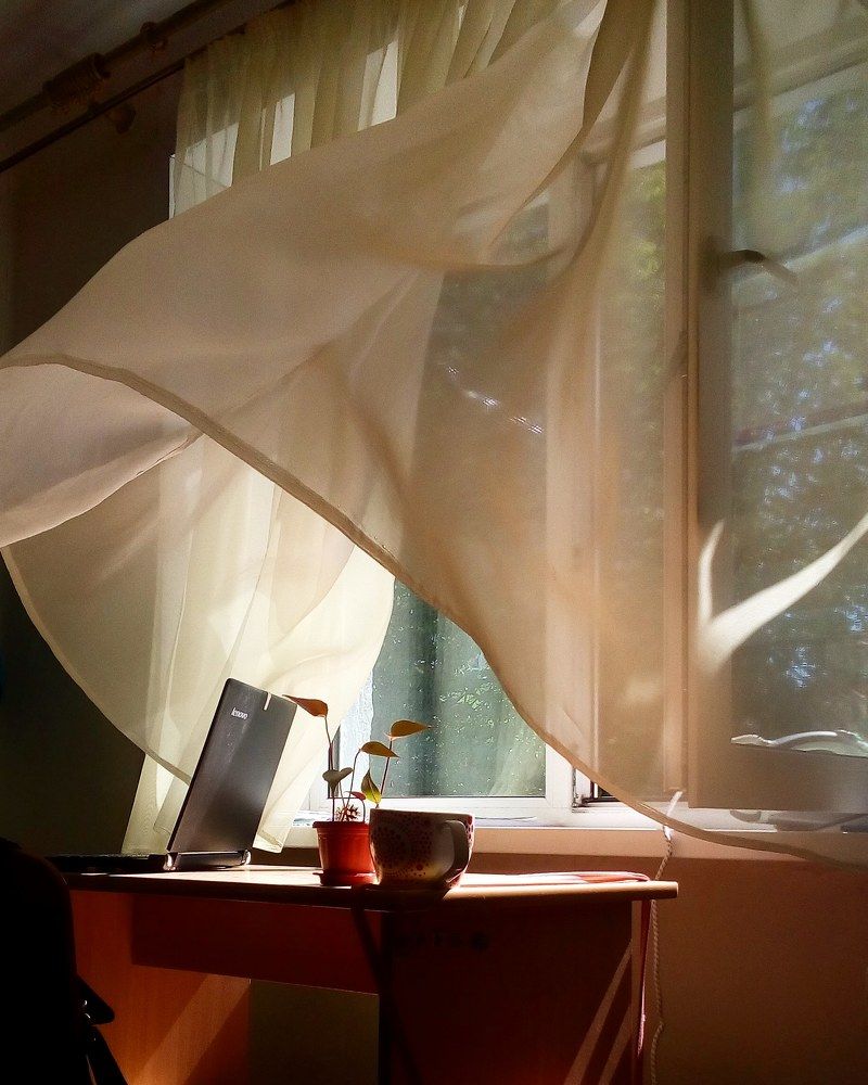 Истина в простоте