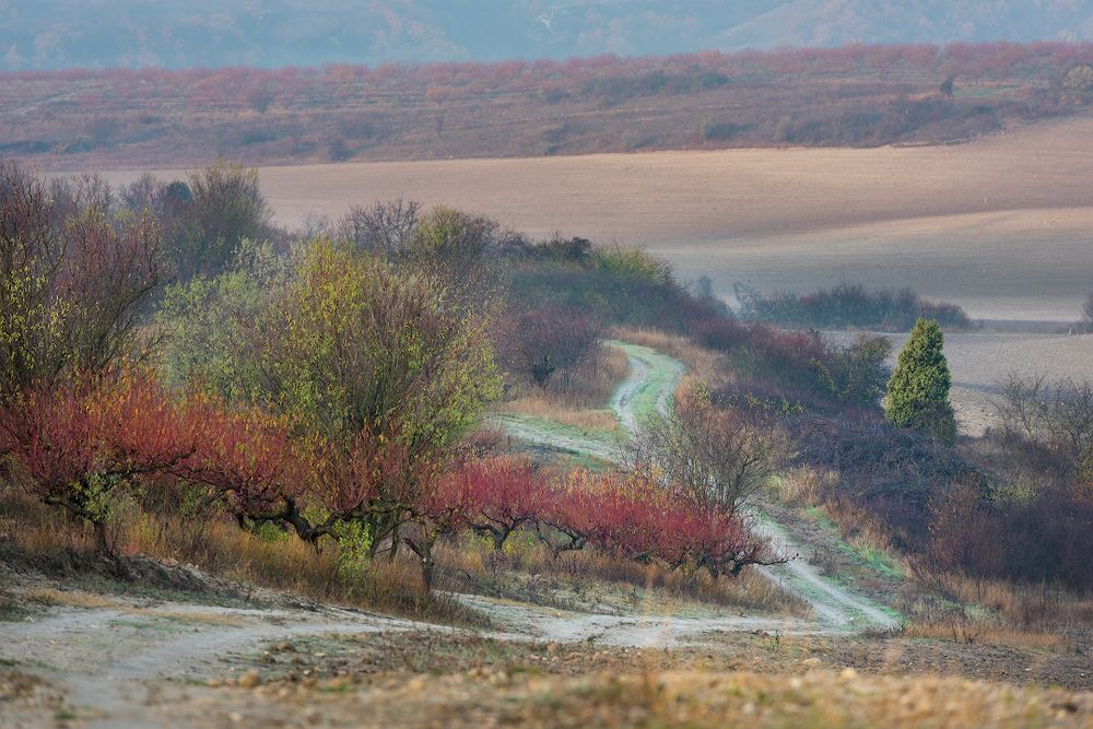 осенние дни в Крыму