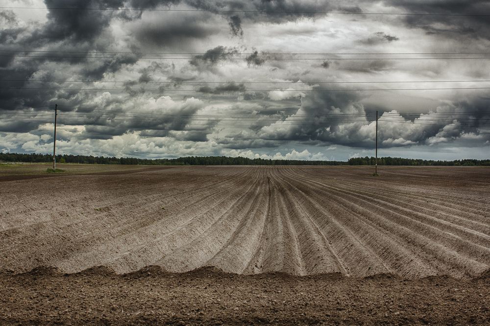 Photograph by владимир насекин
