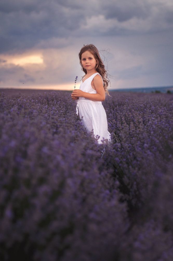 Настроение лаванда