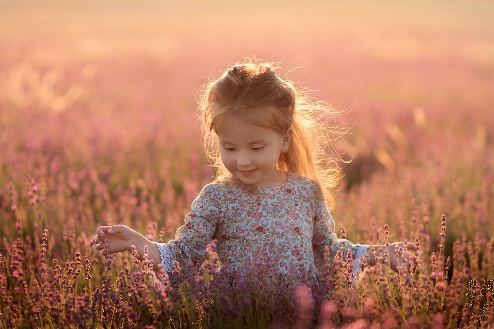 Крымский Прованс...