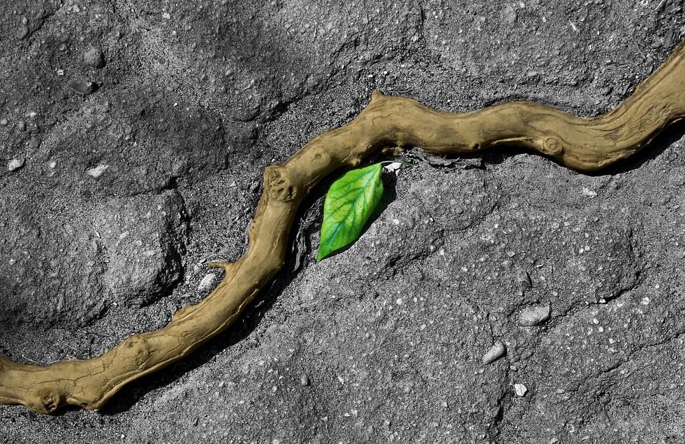 Течение жизни