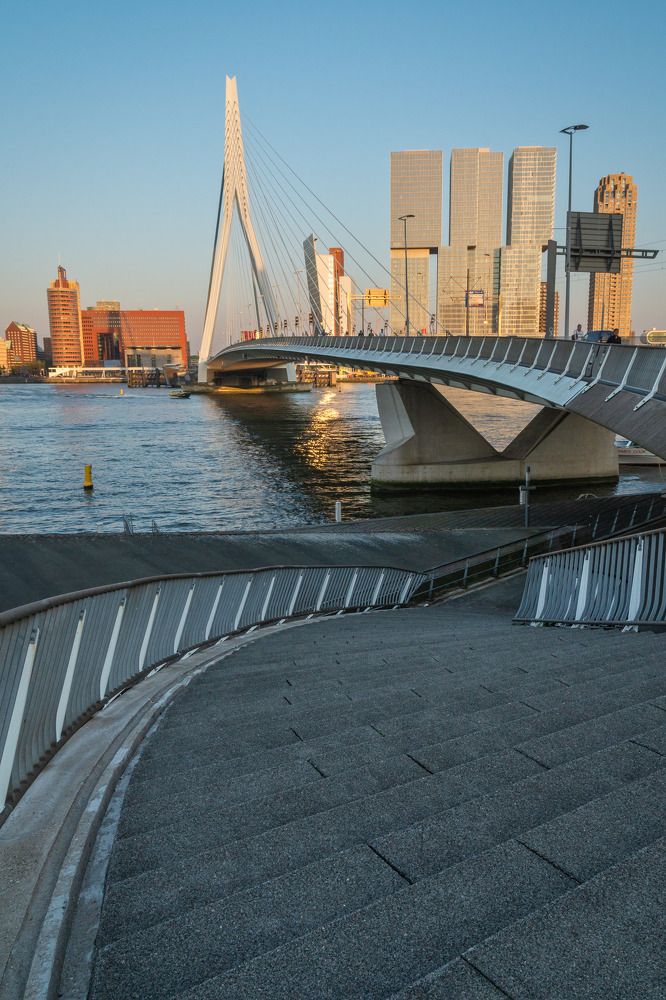 The Erasmus bridge in the late afternoon