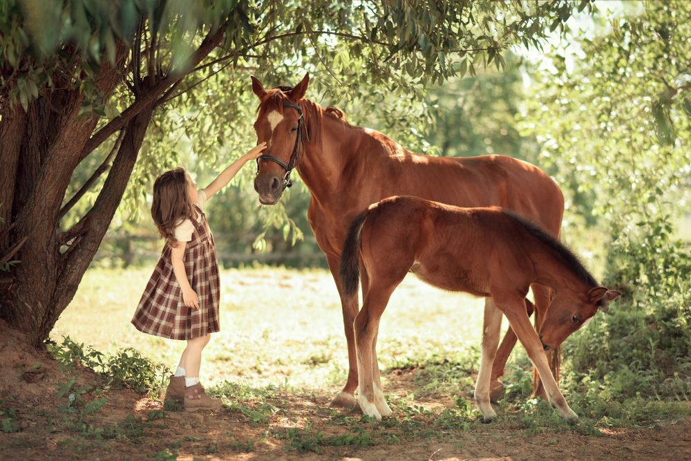 Photograph by Анна Павлючкова